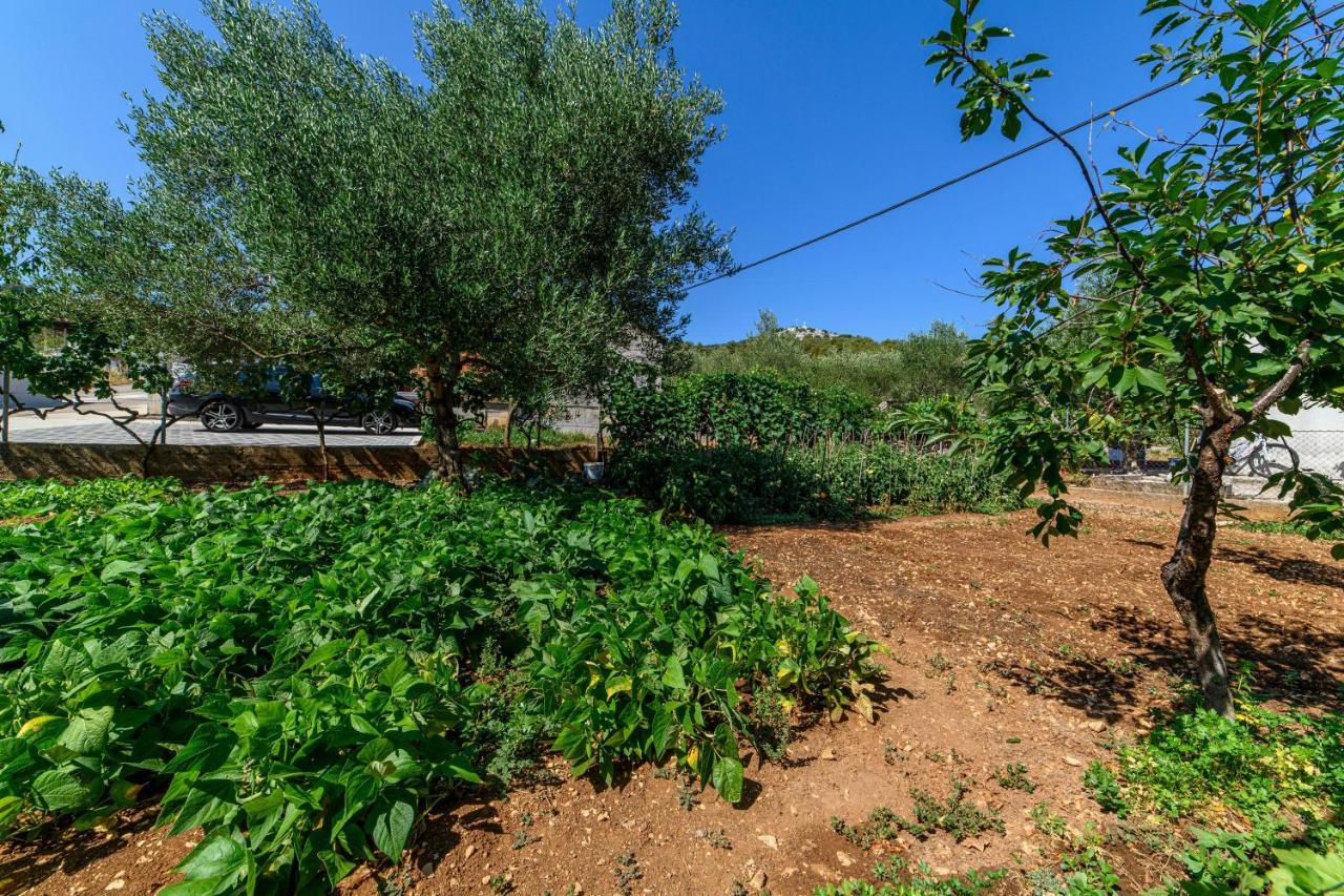 Apartman Maslina Σίμπενικ Εξωτερικό φωτογραφία